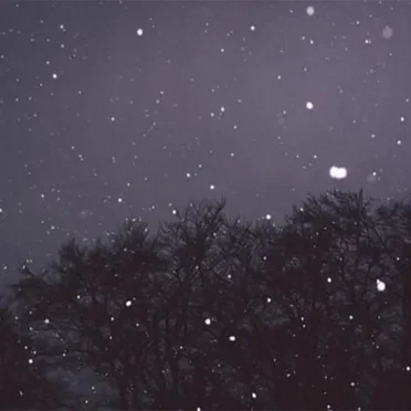 I Miss the Cold by K Minor - album cover