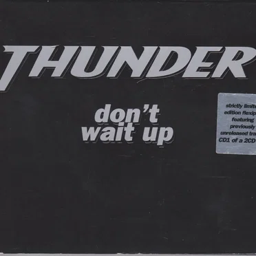 Don't Wait Up by Thunder - album cover