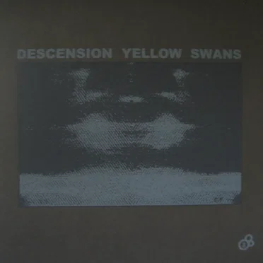 Descension Yellow Swans