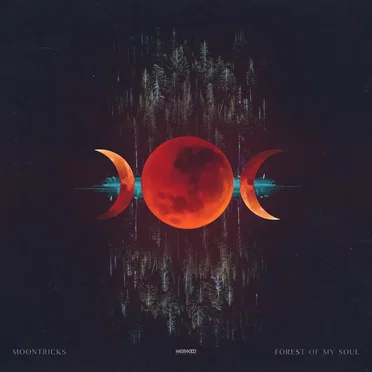 Forest Of My Soul by Moontricks - album cover