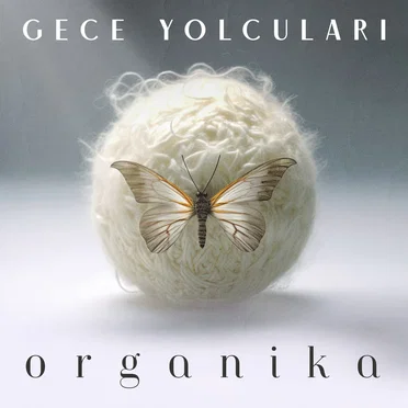 Organika by Gece Yolcuları - album cover