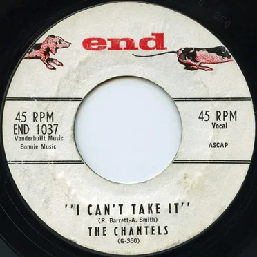 I Can't Take It / Never Let Go