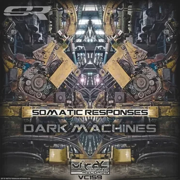Dark Machines