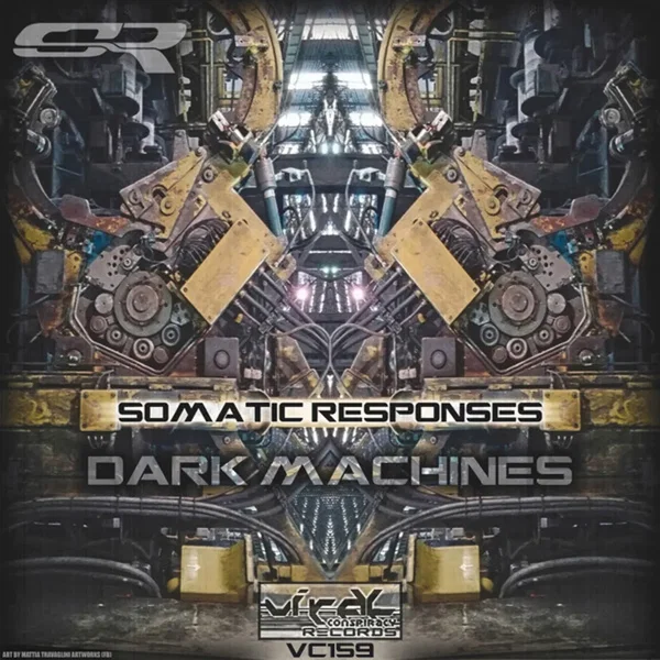 Dark Machines