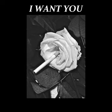 I Want You by Inhaler - album cover