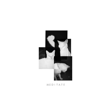 Album by Meditate - album cover