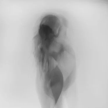 Following Shadows by Luna Kiss - album cover
