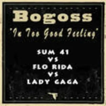 In Too Good Feeling (Flo Rida vs. Sum 41)