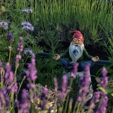 We're the Lively Toys of Transhuman Gnomes