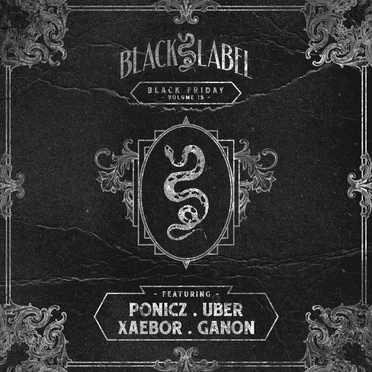 Black Friday, Vol. 15 by Various Artists - album cover