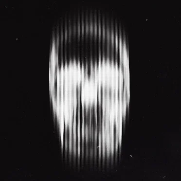 The Lounge Theory by Virtual Vice - album cover