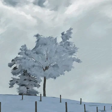 Winter Effect