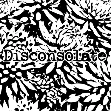 How to Crush a Stone Heart in Just 8 Long Years by Disconsolate - album cover