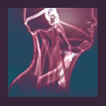 The Flow in Between by Tales of Murder and Dust - album cover