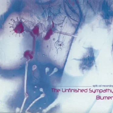 Split w/ The Unfinished Sympathy