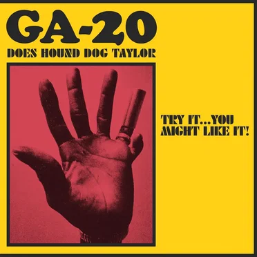 Try It...You Might Like It: GA-20 Does Hound Dog Taylor by GA‐20 - album cover