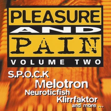 Pleasure and Pain, Volume Two by Various Artists - album cover