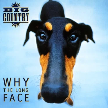 Why the Long Face by Big Country - album cover
