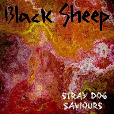 Black Sheep