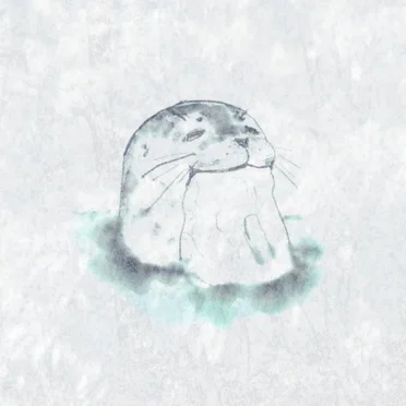 all which surrounds me is grace