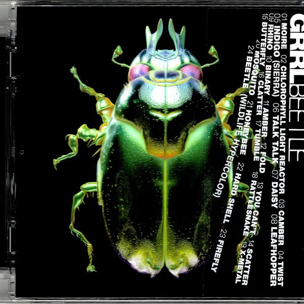 Beetle