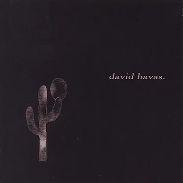David Bavas and the Down Comforter by David Bavas - album cover