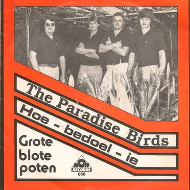 Hoe - bedoel - ie by The Paradise Birds - album cover