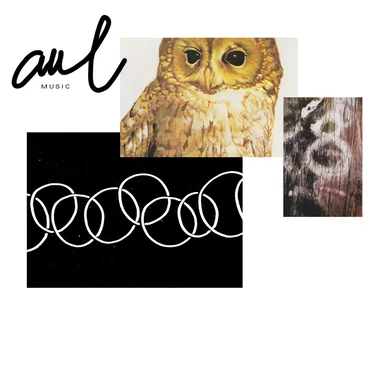 Die Vierte Zehe by Aul - album cover