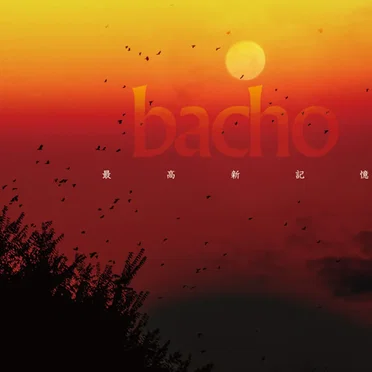 最高新記憶 by Bacho - album cover