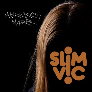 Mörkrets narr by Slim Vic - album cover