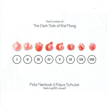 The Evolution of The Dark Side of the Moog