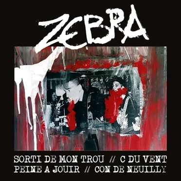 #trouconventjouir by Zebra - album cover