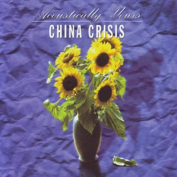 Acoustically Yours