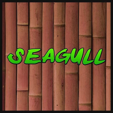 Seagull