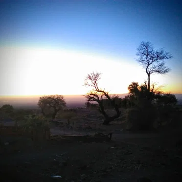 Camar/Caída