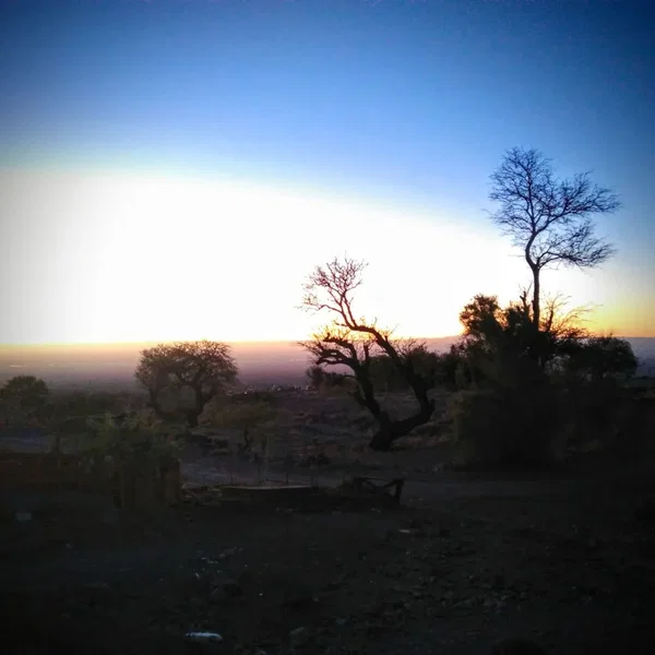 Camar/Caída