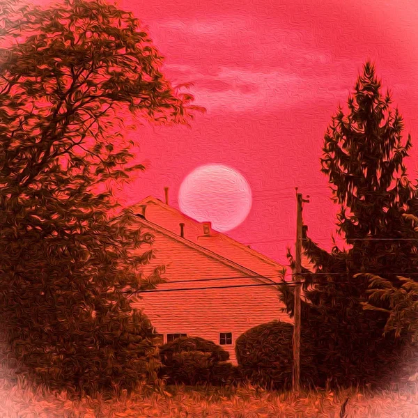 Red Desert
