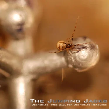 Desperate Times Call for Desperate Measures by The Jumping Jacks - album cover