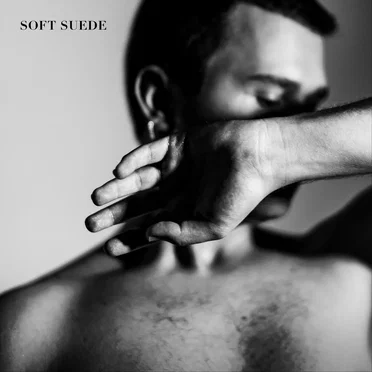 Soft Suede (Single Edit) by Red Sebastian - album cover