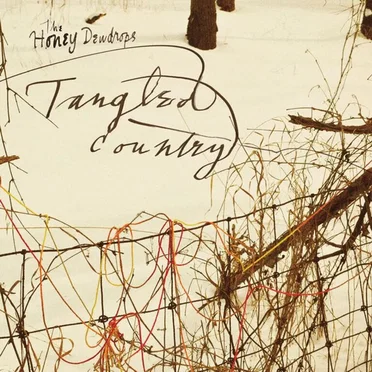 Tangled Country by The Honey Dewdrops - album cover