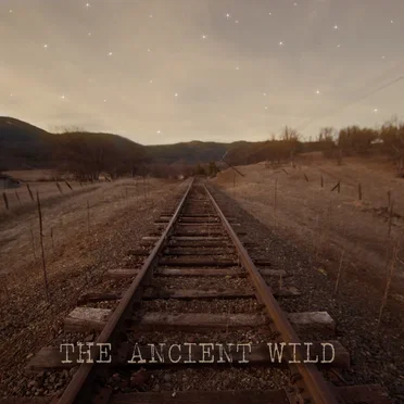 The Ancient Wild by The Ancient Wild - album cover