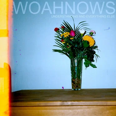 Understanding and Everything Else by Woahnows - album cover