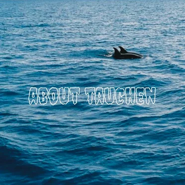 About Tauchen by Frittenbude - album cover