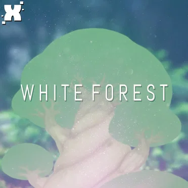 White Forest (From "Pokémon Black and White")