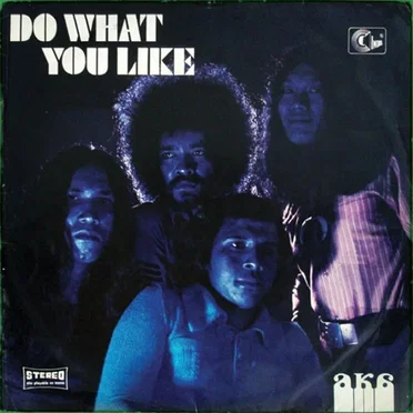 Do What You Like by AKA - album cover