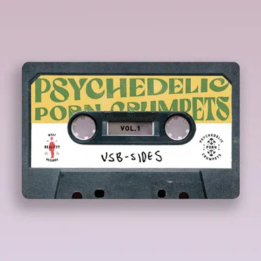 USB-SIDES VOL.1 by Psychedelic Porn Crumpets - album cover
