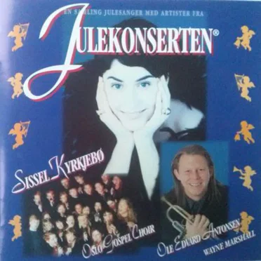 Julekonserten - En Samling Julesanger Med Artister Fra Julekonserten by Various Artists - album cover