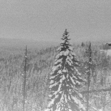 Isete skoger frostskymring...