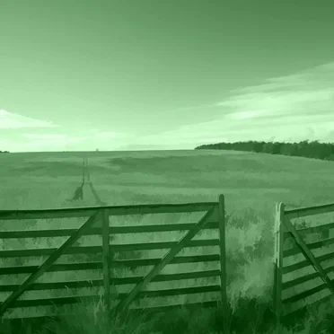 GREEN 19