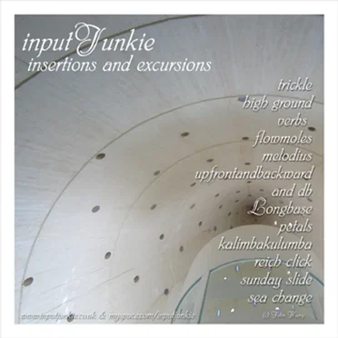 Insertions and Excursions by inputJunkie - album cover